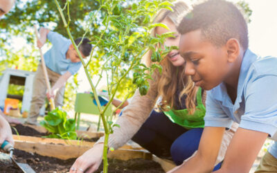 Communications helps with school choice challenges